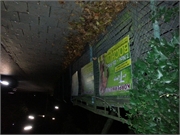 cimg_072